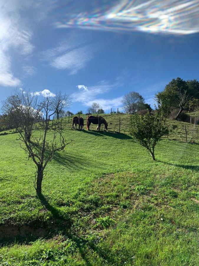 La Casa Azul, Un Oasis De Calma, Vistas Impresionantes Con Piscina, Saltador, Barbacoa Y Acceso Al Rio Ason * Ramales de la Victoria